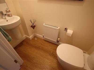 Picture 11